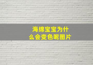 海绵宝宝为什么会变色呢图片