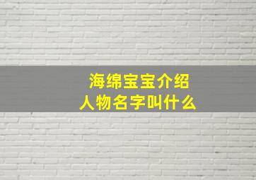 海绵宝宝介绍人物名字叫什么