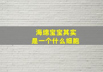 海绵宝宝其实是一个什么细胞