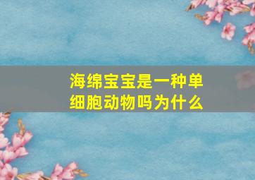 海绵宝宝是一种单细胞动物吗为什么