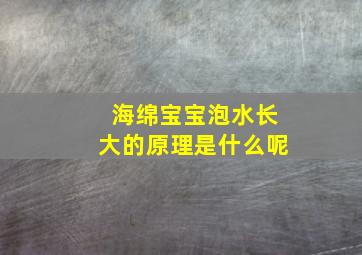 海绵宝宝泡水长大的原理是什么呢