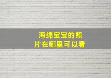 海绵宝宝的照片在哪里可以看