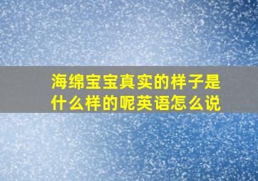 海绵宝宝真实的样子是什么样的呢英语怎么说