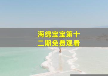 海绵宝宝第十二期免费观看