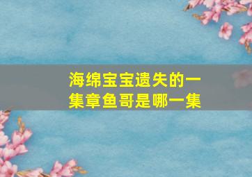 海绵宝宝遗失的一集章鱼哥是哪一集