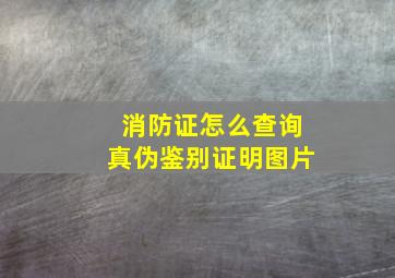 消防证怎么查询真伪鉴别证明图片