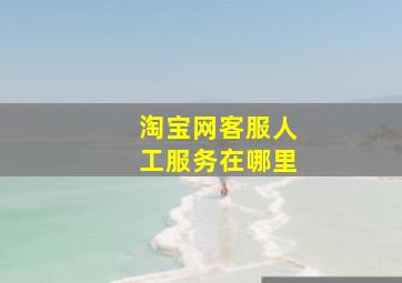 淘宝网客服人工服务在哪里