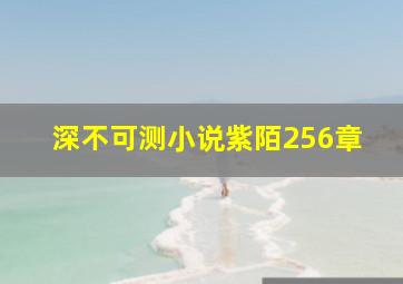 深不可测小说紫陌256章