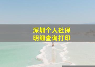 深圳个人社保明细查询打印