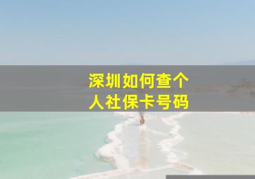 深圳如何查个人社保卡号码