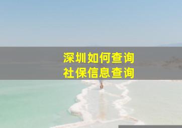 深圳如何查询社保信息查询