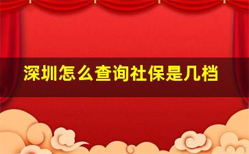 深圳怎么查询社保是几档