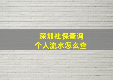 深圳社保查询个人流水怎么查