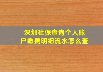 深圳社保查询个人账户缴费明细流水怎么查