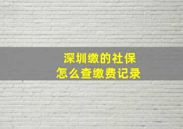 深圳缴的社保怎么查缴费记录