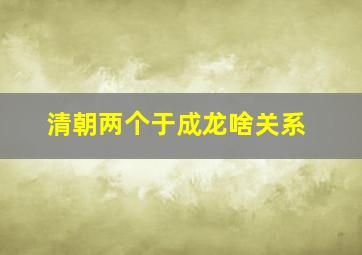 清朝两个于成龙啥关系