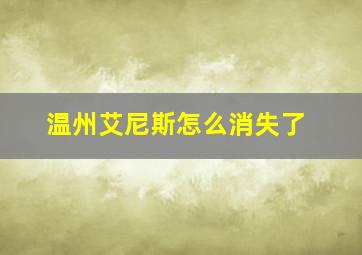 温州艾尼斯怎么消失了