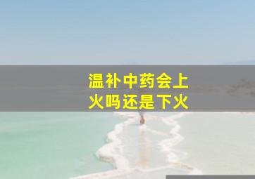 温补中药会上火吗还是下火