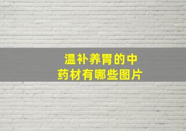 温补养胃的中药材有哪些图片