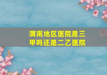 渭南地区医院是三甲吗还是二乙医院