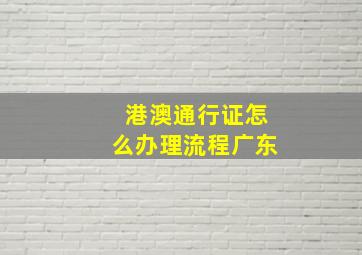 港澳通行证怎么办理流程广东