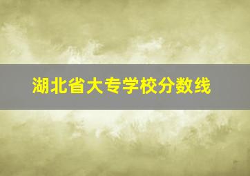 湖北省大专学校分数线