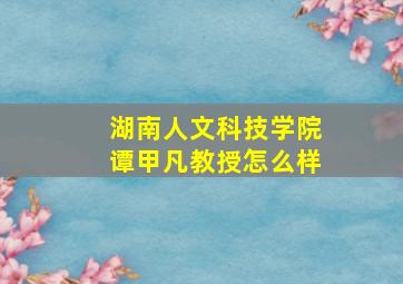 湖南人文科技学院谭甲凡教授怎么样