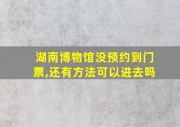 湖南博物馆没预约到门票,还有方法可以进去吗