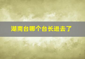 湖南台哪个台长进去了