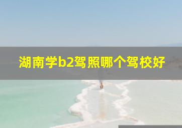 湖南学b2驾照哪个驾校好