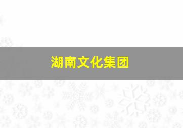 湖南文化集团