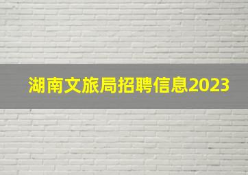 湖南文旅局招聘信息2023