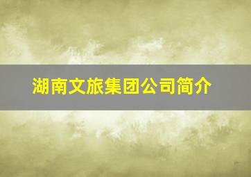 湖南文旅集团公司简介