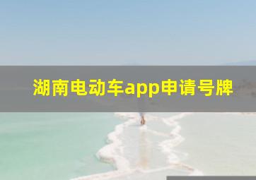 湖南电动车app申请号牌