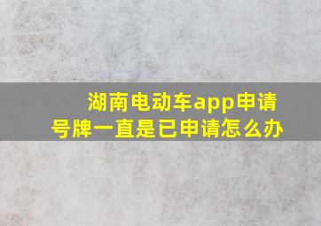 湖南电动车app申请号牌一直是已申请怎么办