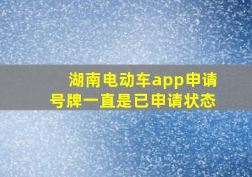 湖南电动车app申请号牌一直是已申请状态