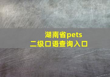 湖南省pets二级口语查询入口