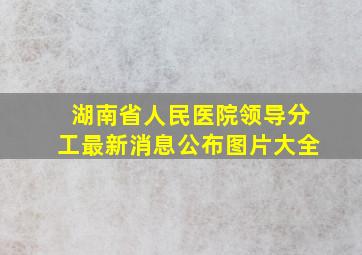 湖南省人民医院领导分工最新消息公布图片大全