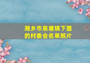 湘乡市泉塘镇下面的村委会名单照片