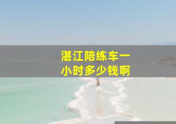 湛江陪练车一小时多少钱啊