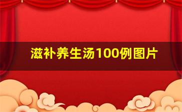 滋补养生汤100例图片