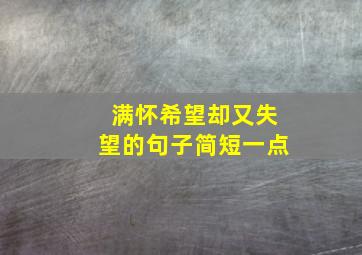 满怀希望却又失望的句子简短一点