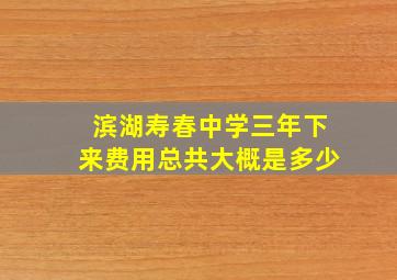 滨湖寿春中学三年下来费用总共大概是多少