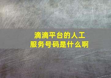 滴滴平台的人工服务号码是什么啊