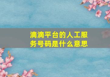 滴滴平台的人工服务号码是什么意思