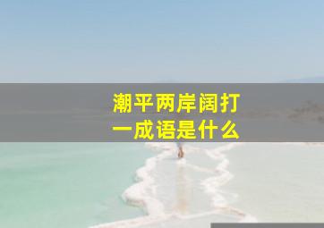 潮平两岸阔打一成语是什么