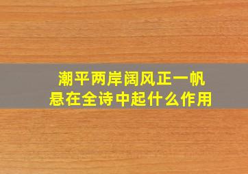 潮平两岸阔风正一帆悬在全诗中起什么作用