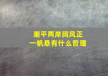 潮平两岸阔风正一帆悬有什么哲理