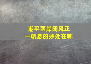 潮平两岸阔风正一帆悬的妙处在哪