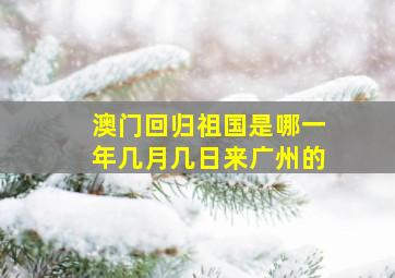 澳门回归祖国是哪一年几月几日来广州的